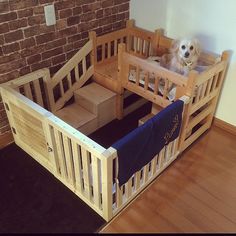 a dog sitting on top of a wooden crib in a living room next to a brick wall