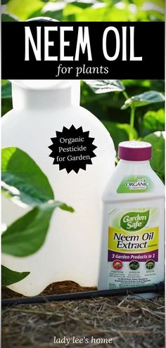 a bottle of nem oil next to a white vase with green leaves on it