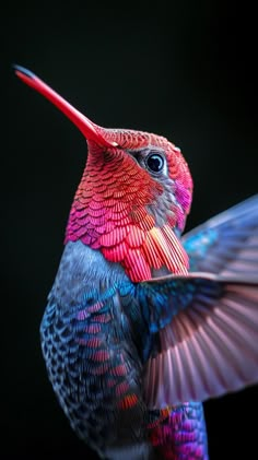 a colorful hummingbird flapping its wings in the dark