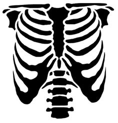 an image of a skeleton with ribs in the shape of a ribcage on a white background