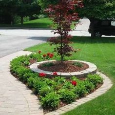 a small tree is in the middle of a flower bed with brick edging around it