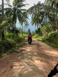 a person on a motorcycle driving down a dirt road with palm trees in the background