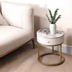 a living room with a couch, table and plant on it's side stand