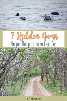 a dirt road surrounded by trees and water with the words 7 hidden gems unique things to do in cape cod