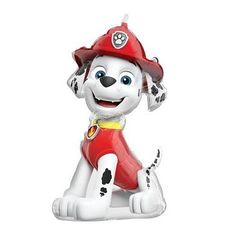 a white and black dog wearing a red fireman's hat