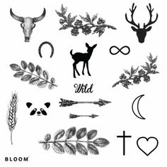 an image of wild animals and plants with the word't'written in it