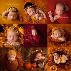 four photos of babies sleeping in fall colors