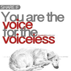 there is a dog that is laying down on the ground with words above it saying, you are the voice for the voiceless