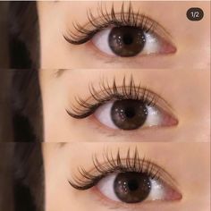 Curly Eyelashes, Eyelash Extensions Styles, Natural Eyelash Extensions, Eyelash Extentions, Cute Makeup Looks, Makeup Makeover, Makeup Pictures