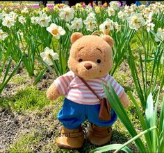 a teddy bear is standing in the middle of some daffodils and grass