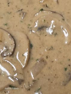 mushroom soup in a white bowl with green garnish