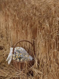 a basket with flowers in it sitting in the middle of a field full of wheat