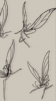 four different drawings of leaves on a white background