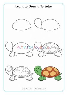 an image of turtle and turtle drawing with the words learn to draw a tortoise