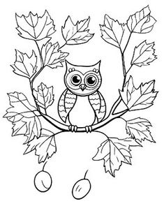 an owl is sitting on a branch with leaves and acorns in the background