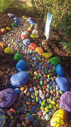 colorful rocks lined up on the ground in a garden