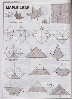 an open book with instructions on how to make origami maple leaf and other things