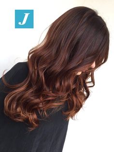 Rich Brown Hair, Balayage Hair Caramel, Colored Hair Tips, Bronde Hair, Brunette Hair With Highlights, Caramel Hair, Hair Color Auburn, Long Hair Color, Brown Hair Balayage