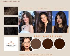 seasonal hair color's are here!!! Winter Colour Palette Hair, Dark Brown Hair For Cool Skin Tones, Winter Color Palette Hair Colors, Dark Winter Hair Color Palette, Hair Colour For Deep Winter, Hair Color For Deep Winter Skin Tone, Winter Palette Hair Color, Deep Winter Color Palette Hair