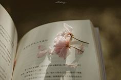 an open book with pink flowers on it