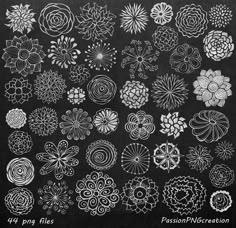 a bunch of different types of flowers on a blackboard with the words passionnecreation