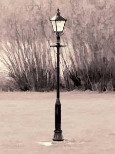 an old fashioned lamp post in front of some trees and bushes with no leaves on it