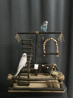 two birds sitting on top of a wooden structure with rope and beads around it,