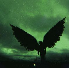 the silhouette of a person with wings outstretched in front of an overcast night sky