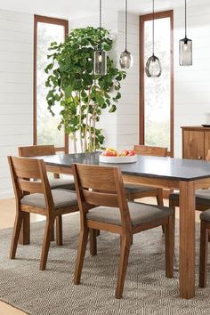 a dining room table with chairs and a potted plant