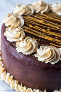 a chocolate cake with white frosting on top