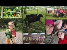 a collage of photos with people and animals in the background, including two children holding vegetables