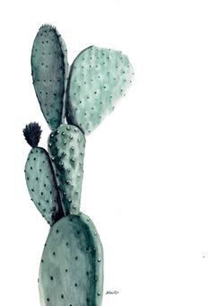 a watercolor painting of a cactus on a white background