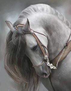 a painting of a white horse wearing a bridle