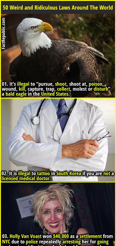 01. It’s illegal to “pursue, shoot, shoot at, poison, wound, kill, capture, trap, collect, molest or disturb” a bald eagle in the United States. Odd Facts, Crazy Facts, Doctor Medical, Interesting Facts, Clue, Bald Eagle, Trivia