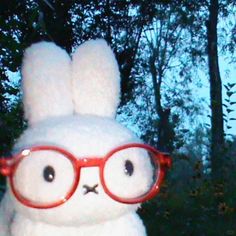 a white stuffed animal with glasses on it's face and eyes are standing in front of trees