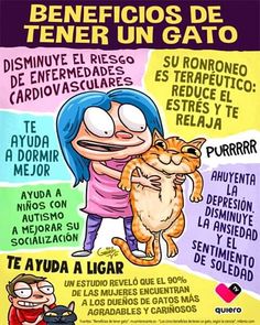 a poster with an image of a woman holding a cat in her arms and the words benefios de tener un gato on it