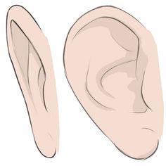 an image of two ears that are not in the shape of a nose or ear