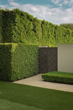 an outdoor area with grass and hedges