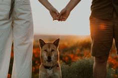 two people holding hands with a dog in front of them