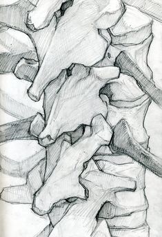 this is a pencil drawing of leaves