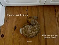 a small dog curled up in a bed on the floor with a quote above it that says if you're so full of love, why don't you give yourself some?