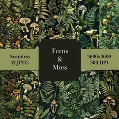 the ferns and mushrooms wallpaper is shown in green, brown, and black colors