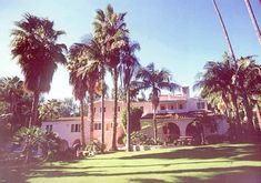 palm trees in front of a large house