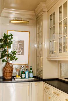 a potted plant sitting on top of a kitchen counter next to bottles and containers