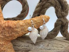 Shell Earrings, Beach Earrings, Ocean Earrings, White Shells, Shell Pearl Earrings, Wedding Earrings - Etsy White Jewelry For Summer Beach Wedding, White Jewelry For Beach Wedding In Summer, White Jewelry For A Beach Wedding In Summer, White Dangle Earrings For Beach, White Dangle Earrings For The Beach, White Drop Earrings For Beach, White Drop Earrings For The Beach, Summer Gift White Pearl Earrings, Elegant White Pearl Earrings For Beach