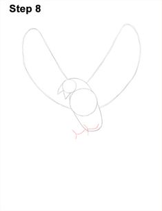 how to draw a bird step 8