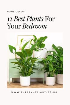 some plants are sitting on a table with the words, 12 best plants for your bedroom