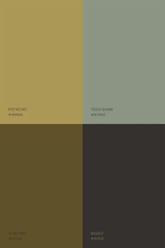 Holistic Branding, Color Inspiration Boards, Pistachio Color, Branding Design Studio, Tiger Shark, Color Palate, Color Palette Design