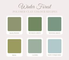 the winter forest color palette is shown