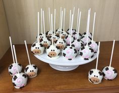 cake pops decorated with chocolate cows are on a white platter, along with marshmallows